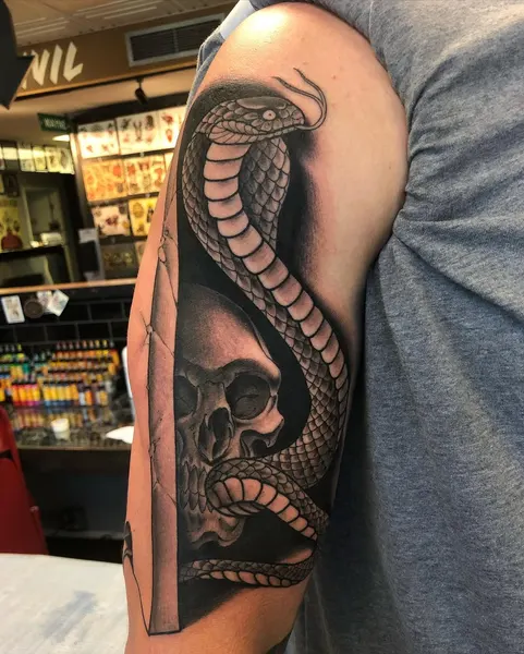 Animal