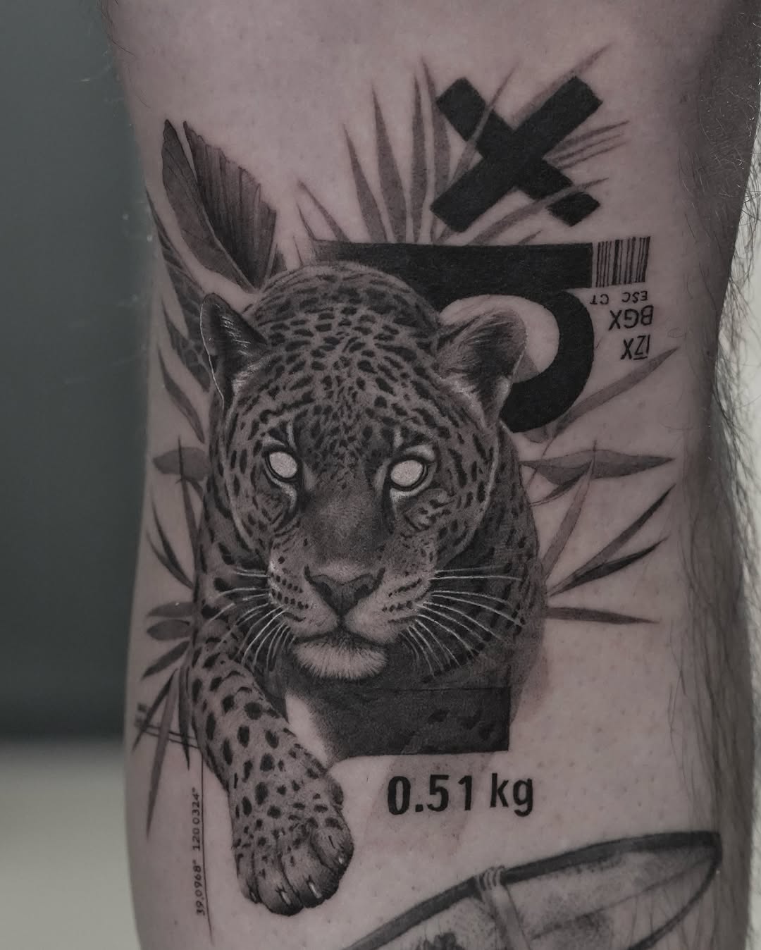 Animal