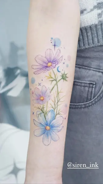 Flower, Nature, 데이지