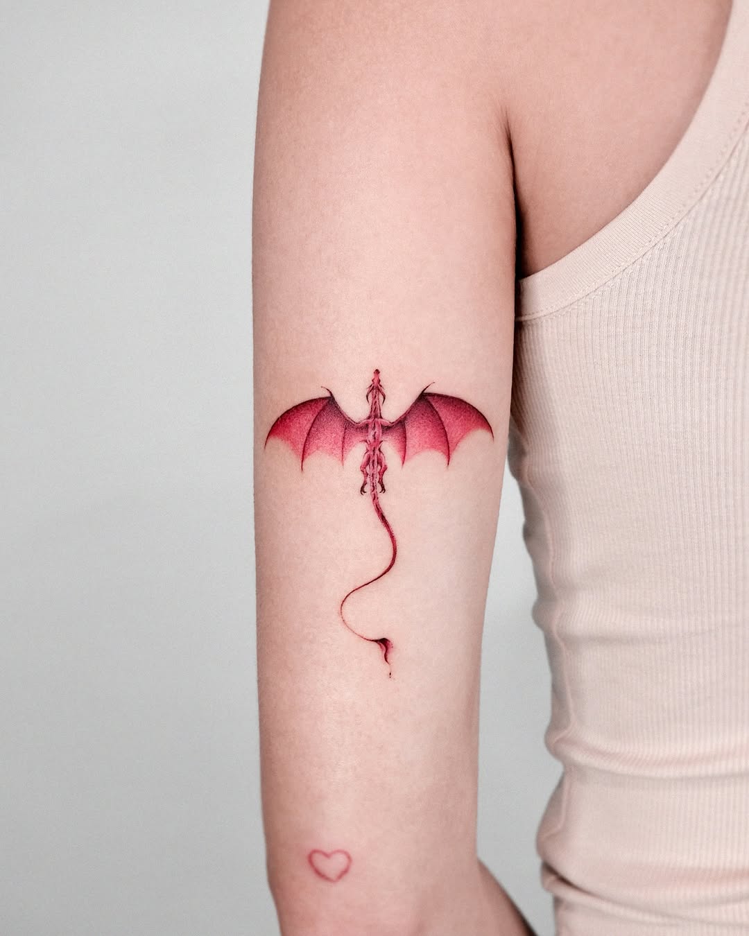 Dragon, 박쥐, 뱀파이어