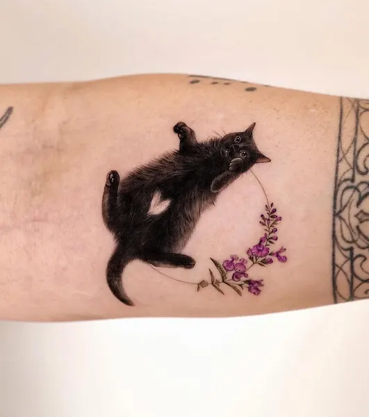 Animal