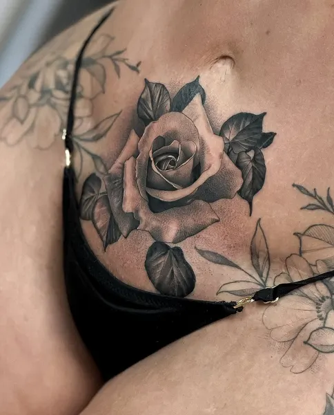Flower, Rose, Nature