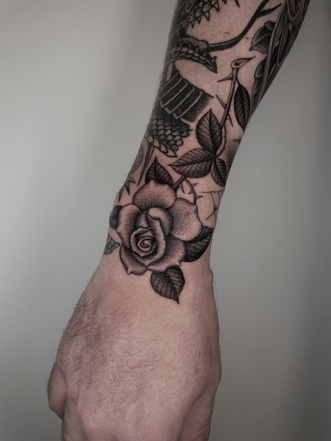 Flower, Rose
