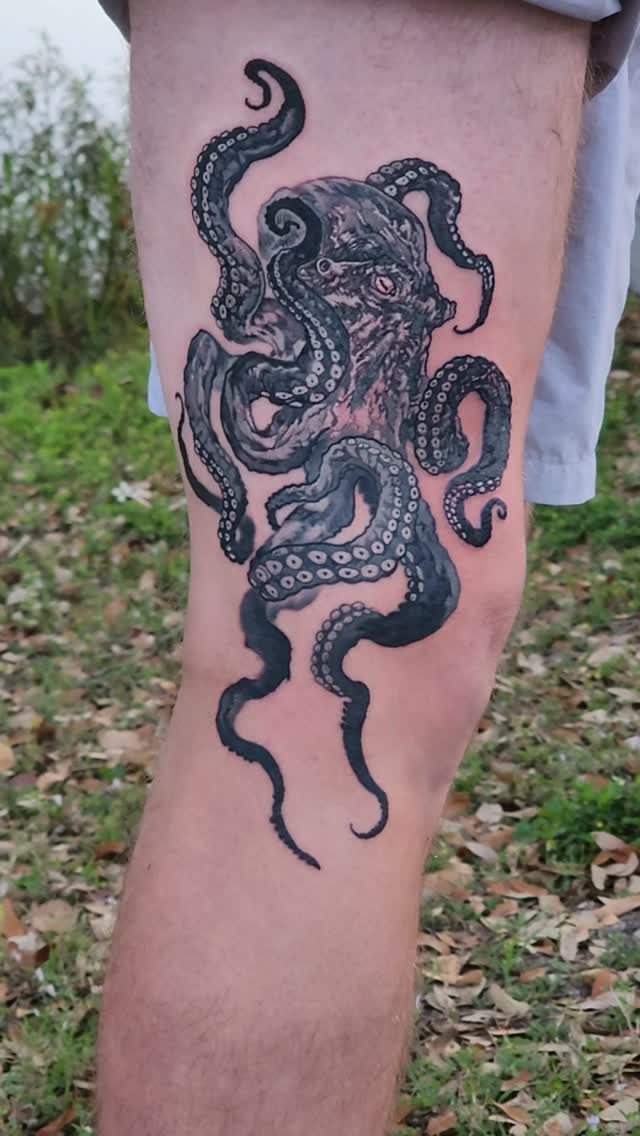 Animal, 크라켄