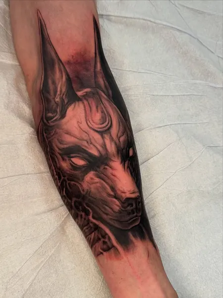 Animal, Tiger
