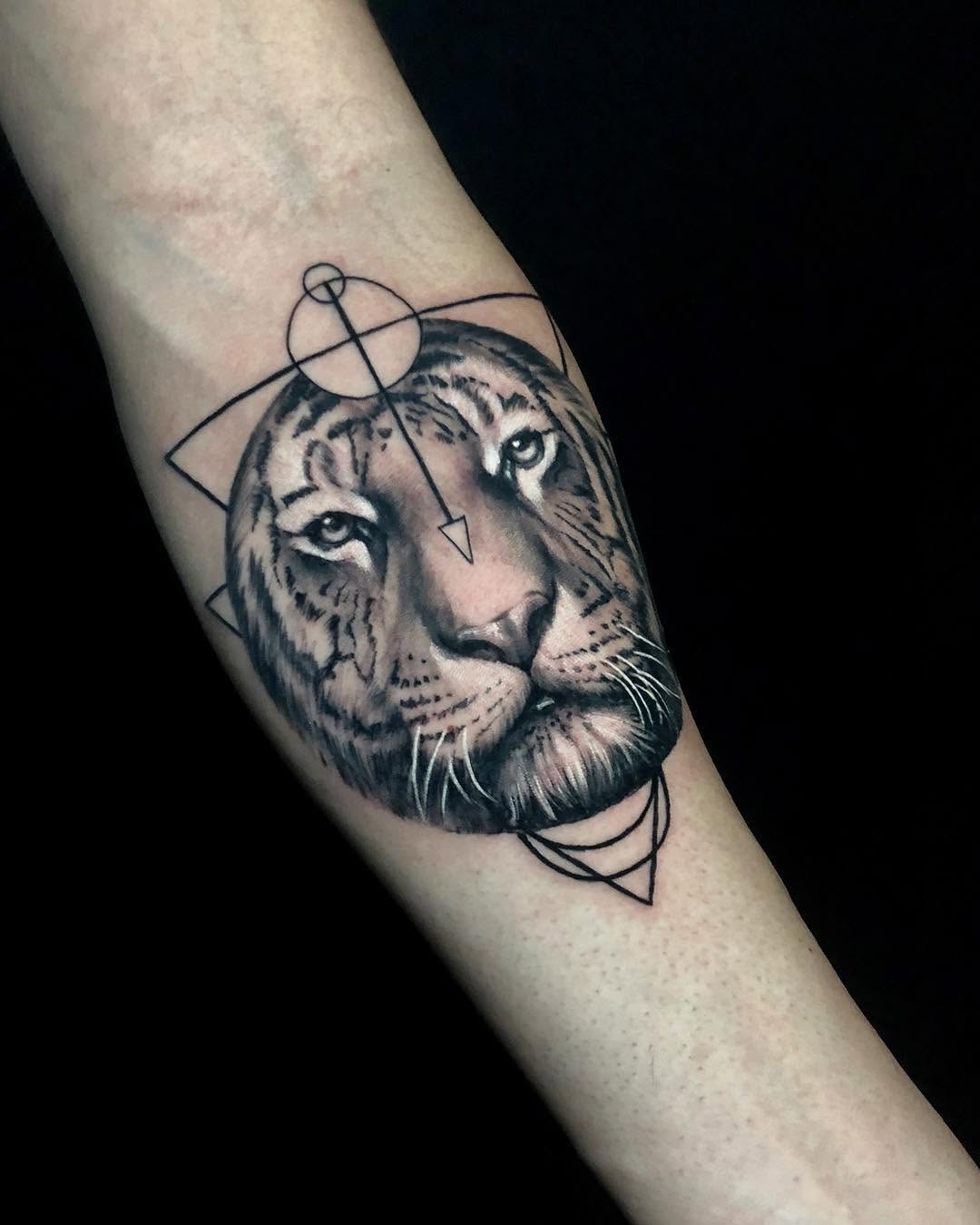 Tiger, 사자자리