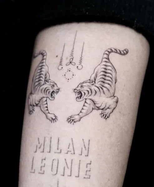 Tiger