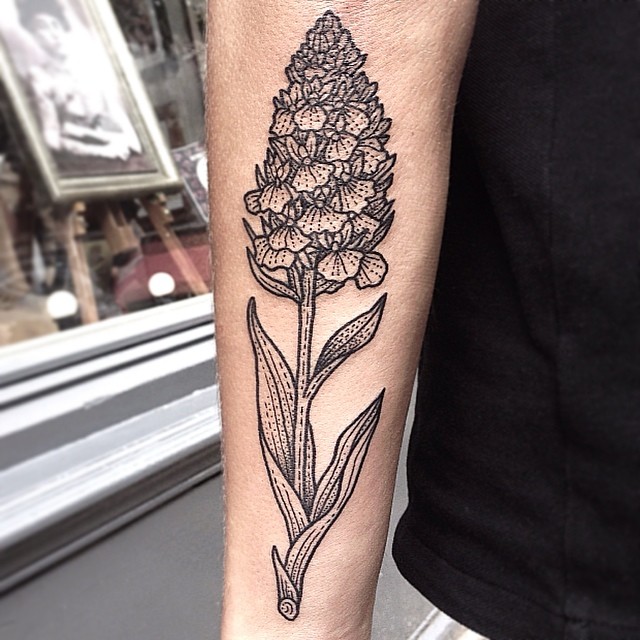 Flower, 허브