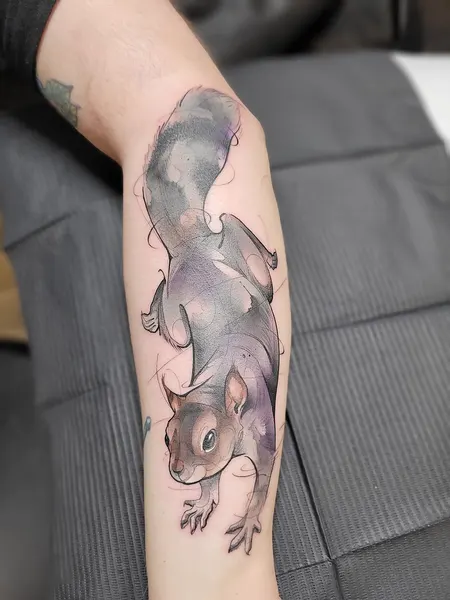 Animal, 문어