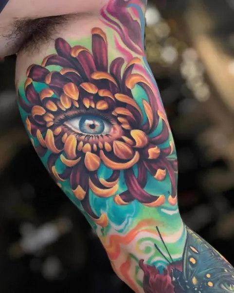 Flower, Nature, Rose