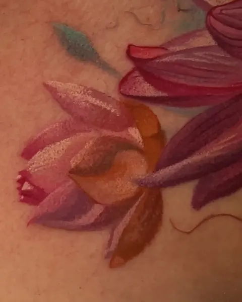Flower, Rose, 난초
