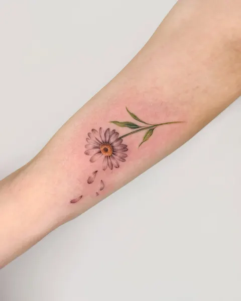 Flower, 국화, 데이지, 민들레