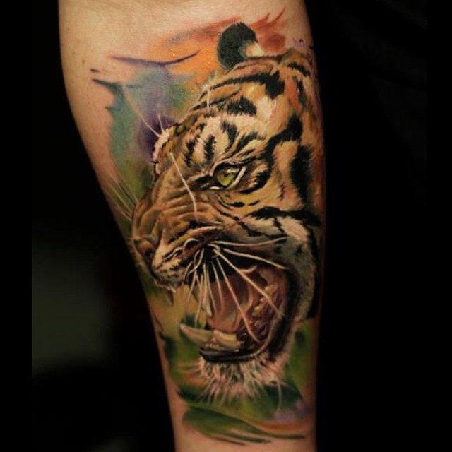 Tiger, 일본 호랑이, 중국 호랑이, 한국 호랑이