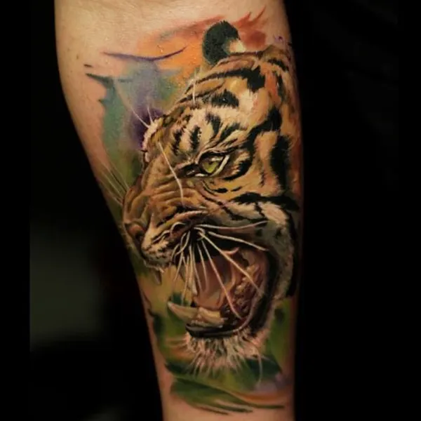Tiger, 일본 호랑이, 중국 호랑이, 한국 호랑이