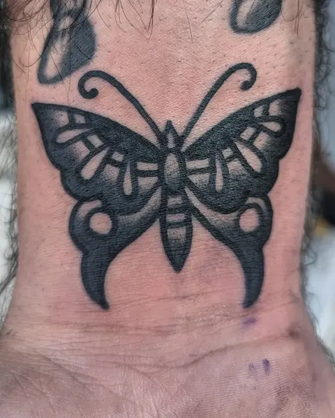 Animal, Nature, 나방