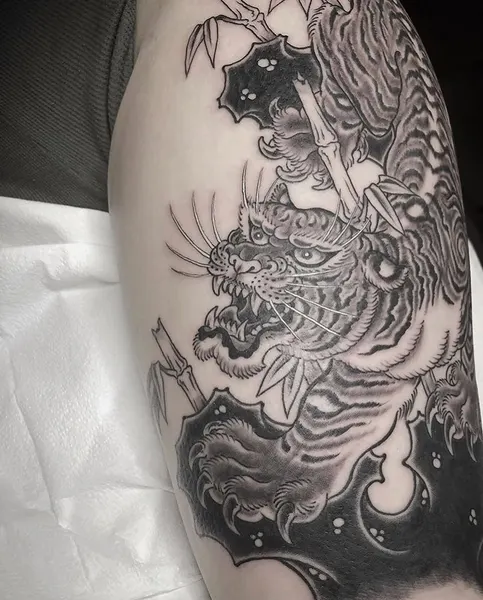 Dragon, Tiger
