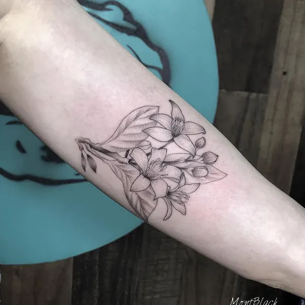Flower, Rose