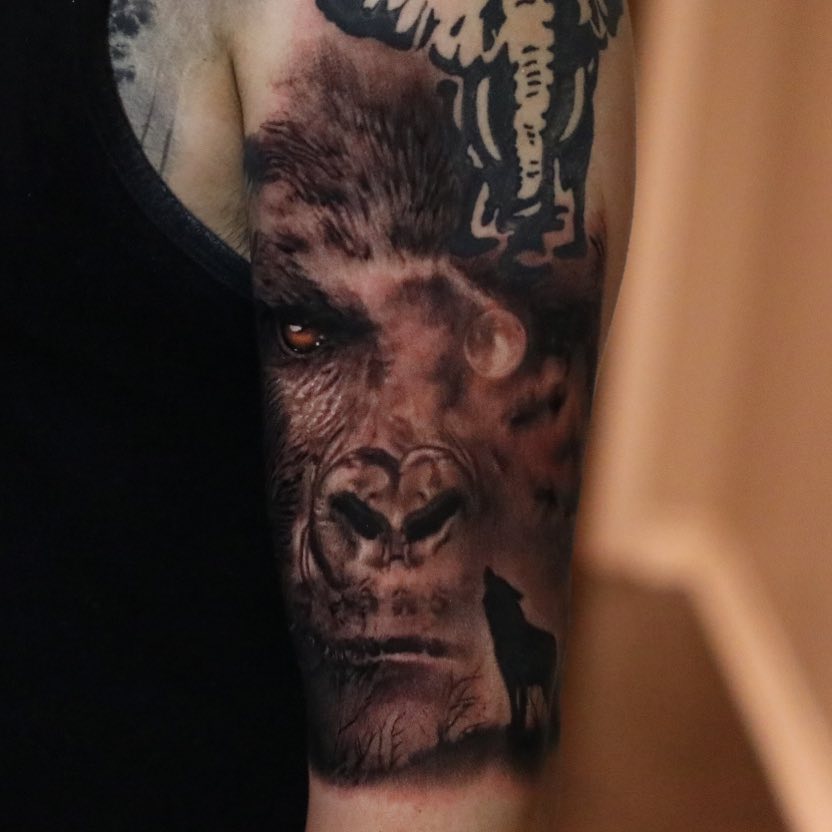 Tiger, 고릴라
