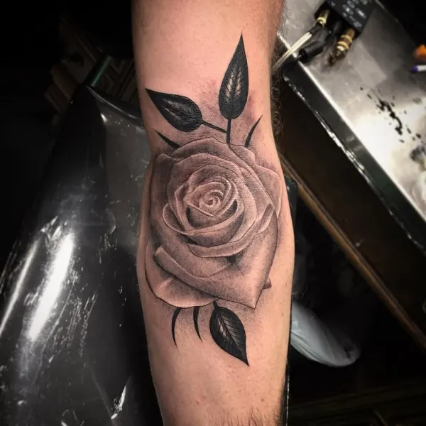 Flower, Rose