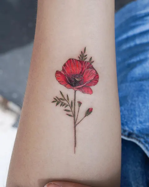 Flower, 양귀비