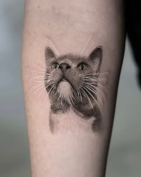 고양이
