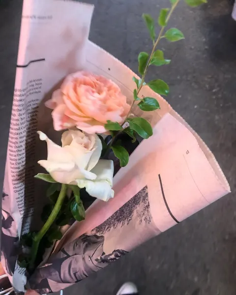 Flower, Rose, Nature, 풀, 꽃다발, 야생화, 꽃 배경