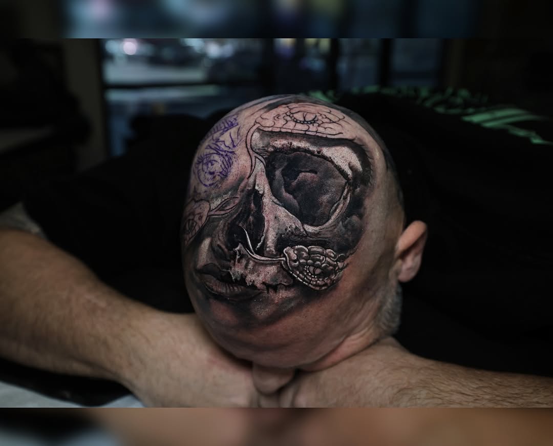 뇌, 투구, Skull