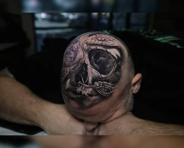 뇌, 투구, Skull