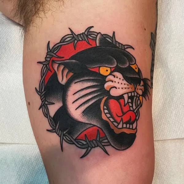 Animal, Tiger, 팬서
