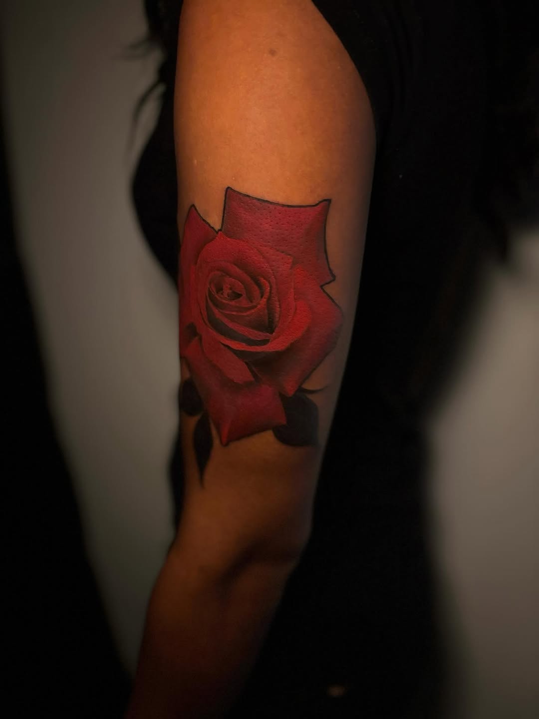 Flower, Rose, Nature