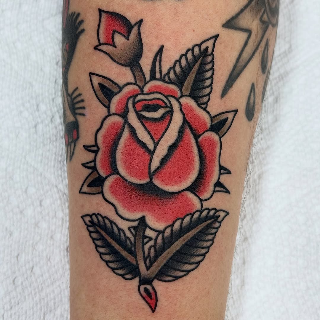 Flower, Rose
