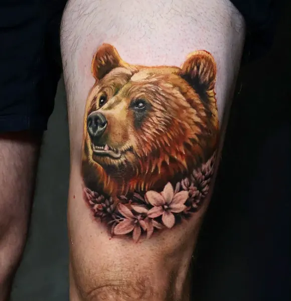 Animal, 곰