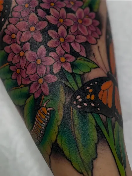 Nature, Animal