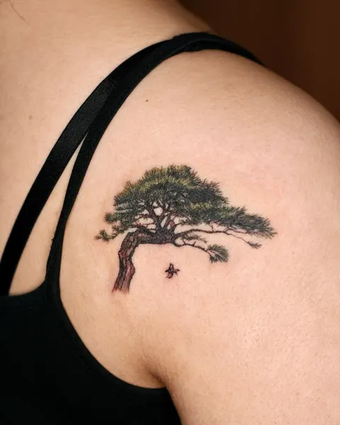Nature, 나무, 소나무