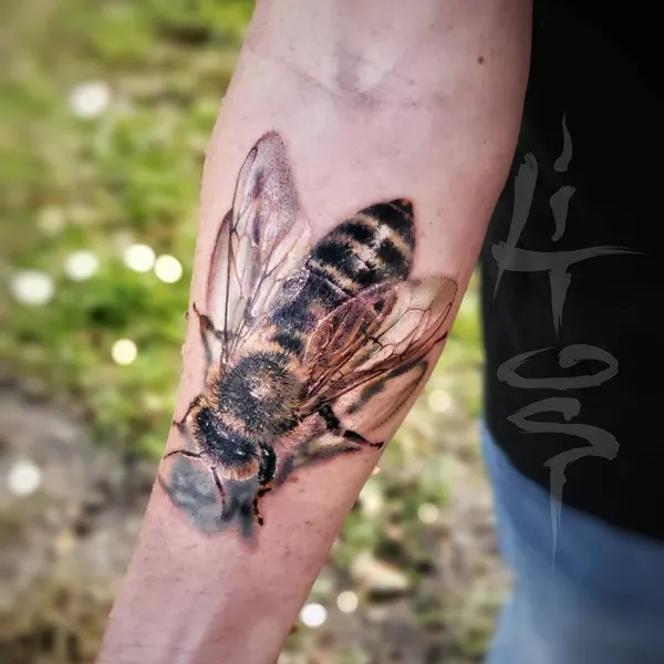 Animal, 벌, 전갈, 랍스터, 지네, 딱정벌레