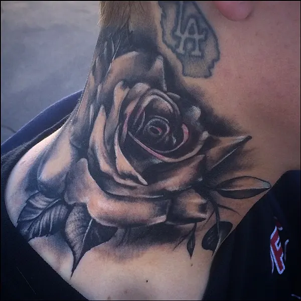 Flower, Rose, Nature