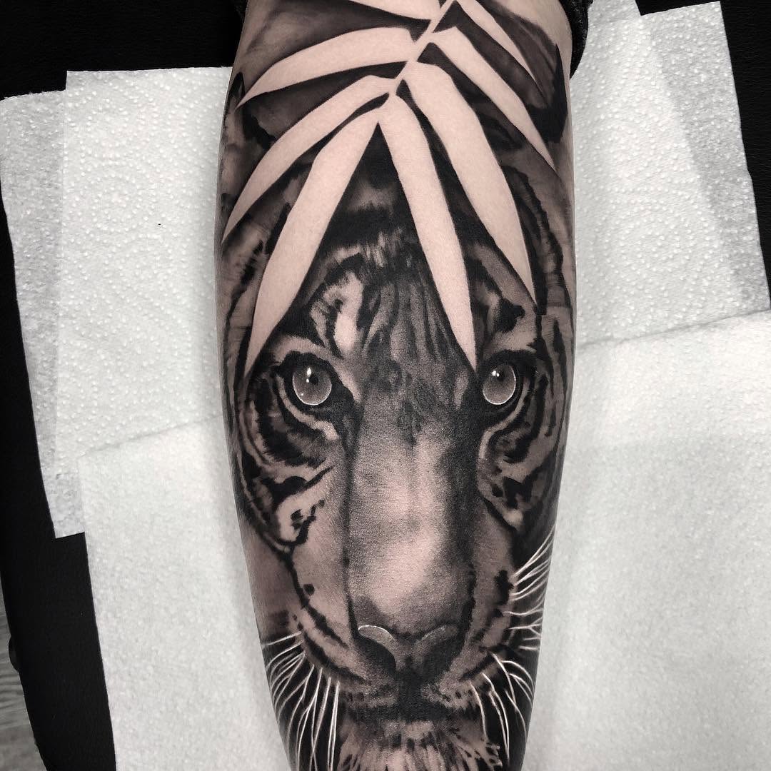 Tiger, 일본 호랑이