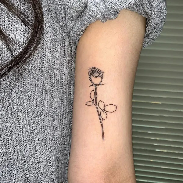 Flower, Rose