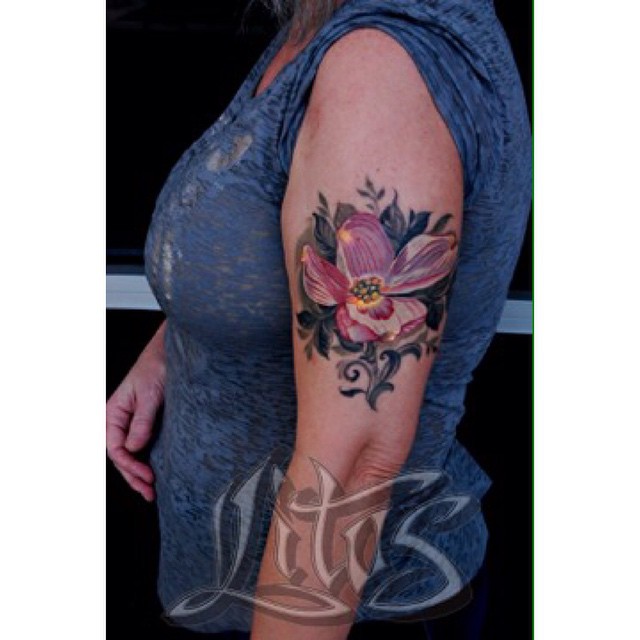 Flower, Rose