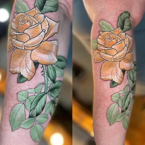 Flower, Rose