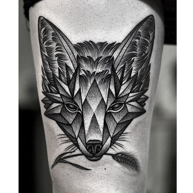 Animal, Tiger