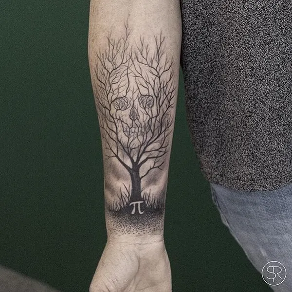 Nature, 뿌리, 숲, 나무, 덩굴, 소나무