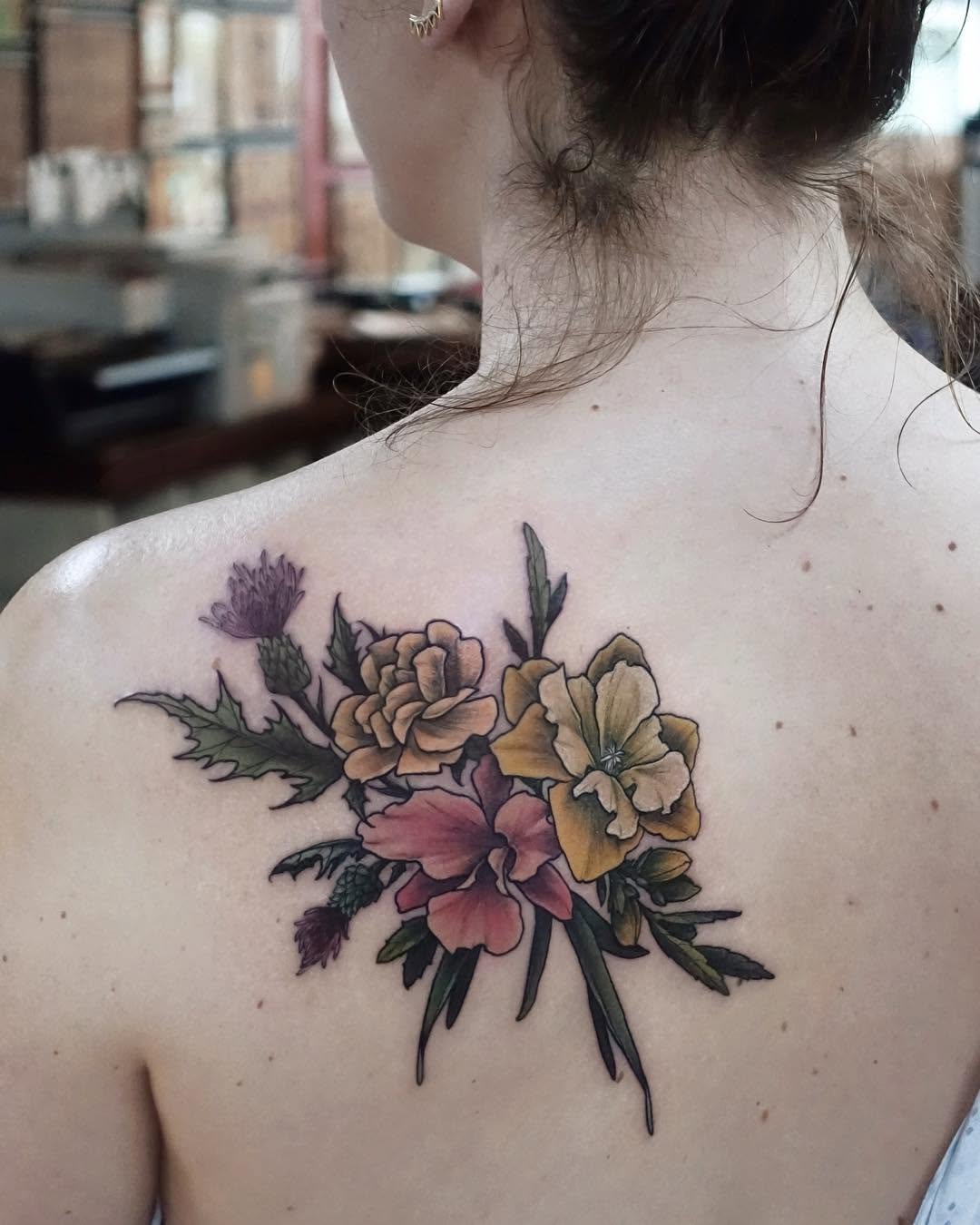 Flower, Nature, Rose