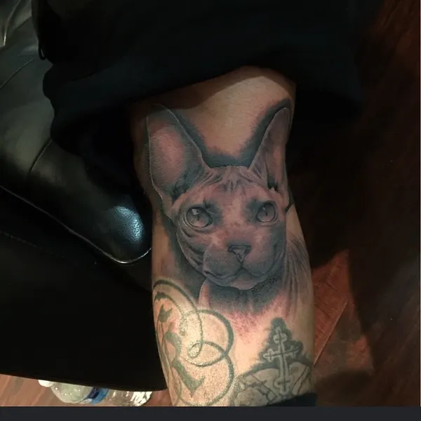 Animal