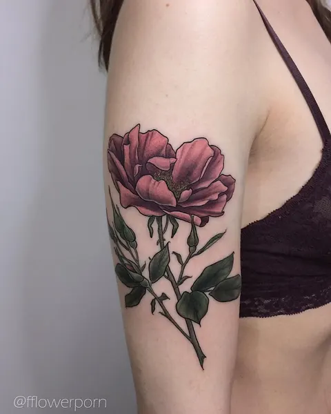 Flower, Rose, Nature