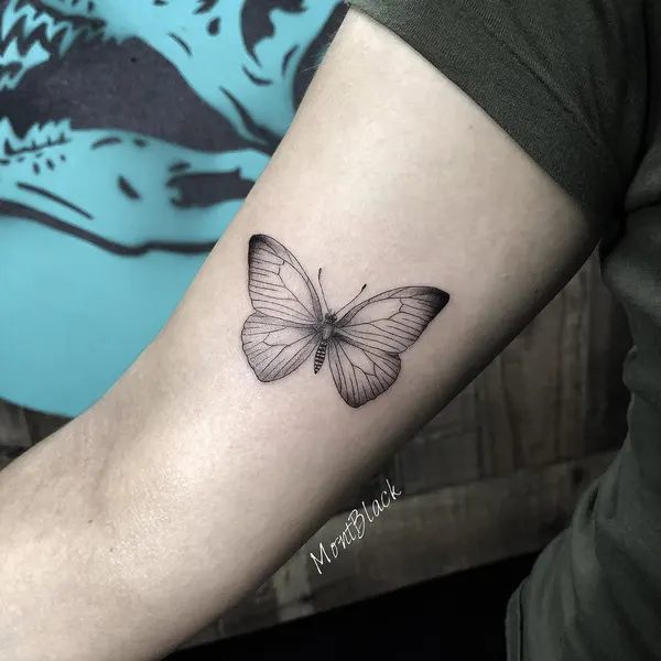 Nature, Animal