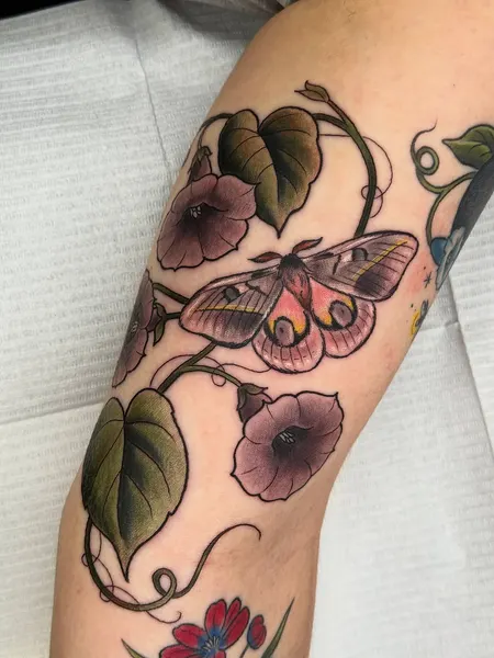 Flower, Animal, Nature