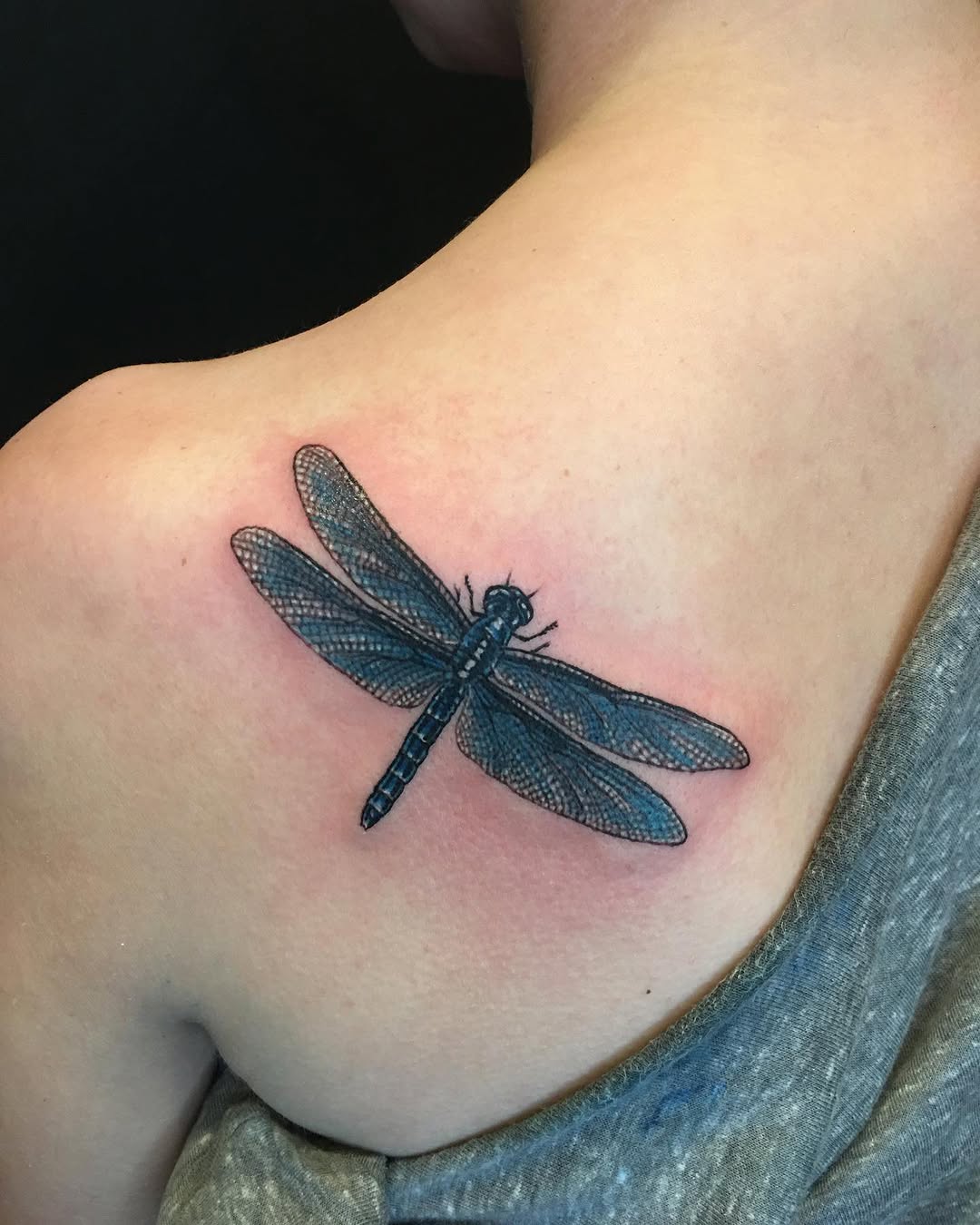 Nature, Animal, 리본, 잠자리, 매미