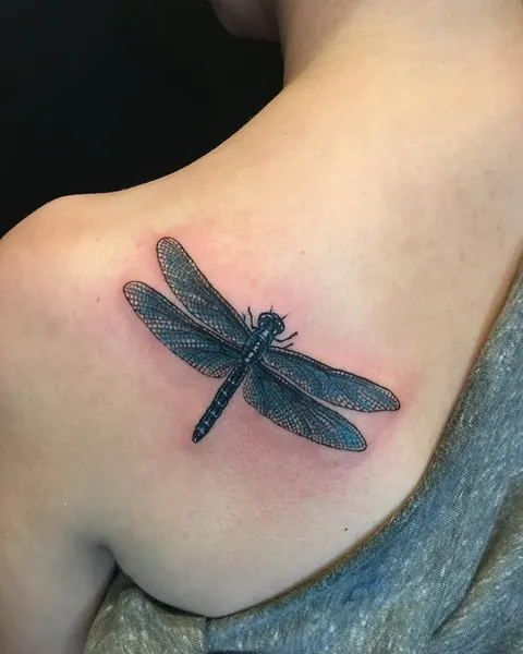 Nature, Animal, 리본, 잠자리, 매미