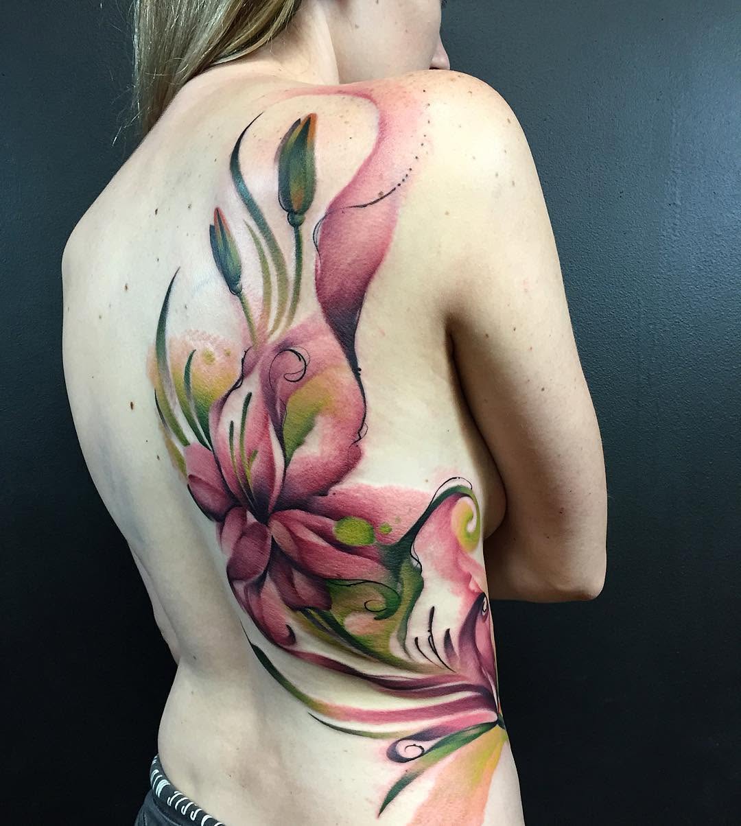 Flower, Rose, Nature